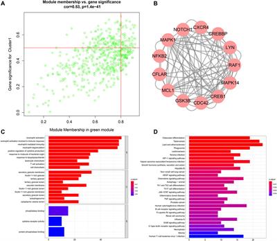 Characterization of an Aging-Based Diagnostic Gene Signature and Molecular Subtypes With Diverse Immune Infiltrations in Atherosclerosis